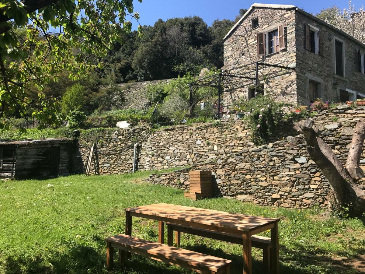 Maison De Charme Corse Sauvage Pietra-di-Verde Exterior foto